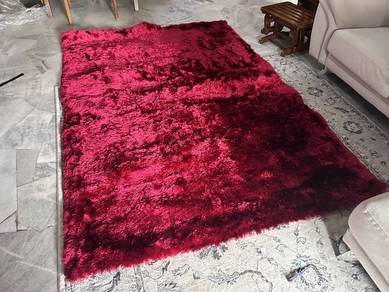 Newly Washed Carpet