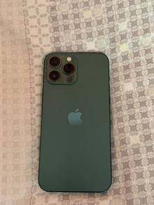 13 pro max