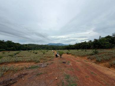 Agricultural Land in Baling, KDH