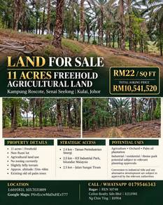 Agricultural Land in Senai, JHR
