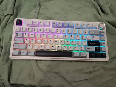 Aula mechanical keyboard (green leobag)