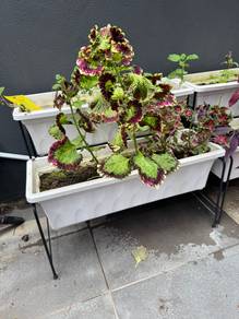 2 layers planter box pot rack