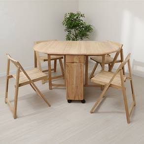 4 +1 Foldable Dining Set