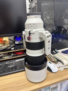 Sony 200-600 G OSS