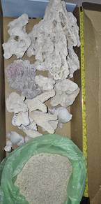 Coral and Marine sand