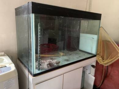 4ft aquarium