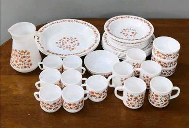 3501 Arcopal scania dinner set 33pcs