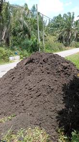 Jualan Tanah Hitam Sawit Organik