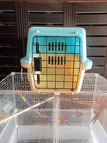 tempat letak kucing