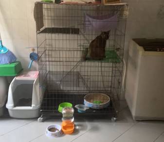 Cat Hotel 3 Tingkat