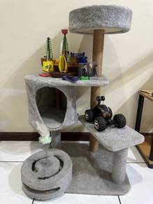 cat toy house