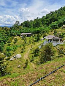 Agricultural Land in Kuala Kangsar, PRK