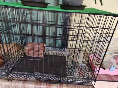 Guinea pig cage and hamster things