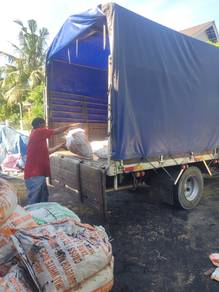 Sekam. Bakar Dan sekam kuning 4774