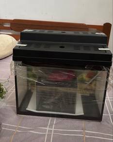 Aquarium For Sale