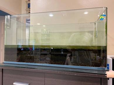 WTS Fish Tank, CO2 Tank, Filter