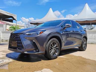 Lexus NX 250 BASE GRADE in Ipoh, PRK