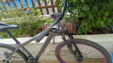pheon grey mountain bike with purple accent