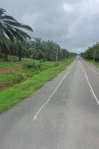 Agricultural Land in Segamat, JHR