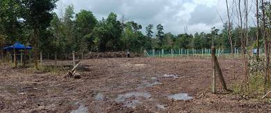 Residential Land in Pekan, PHG