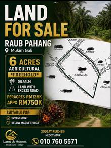 Agricultural Land in Gali, PHG