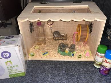 Hamster set