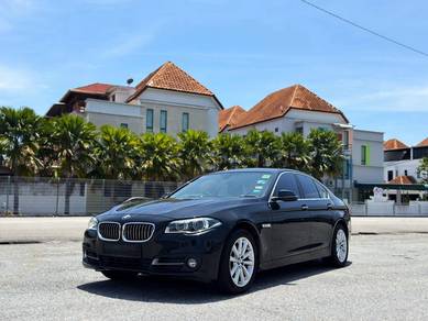 2014 BMW 520i 20i