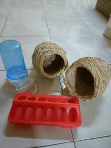 Pet Accessories