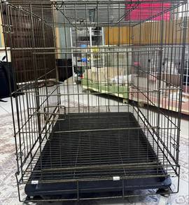 Sangkar kucing