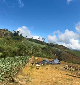 Agricultural Land in Ranau, SBH