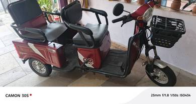 Adult Electric Bike/ e-Tricycle/ Scooter