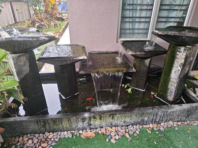 Outdoor/Indoor pond
