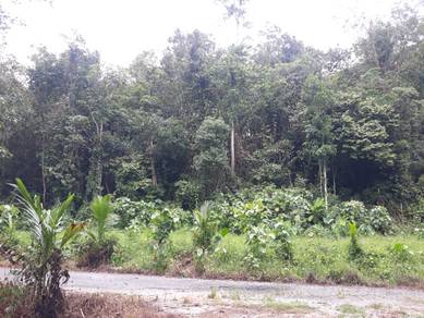 Agricultural Land in Kuala Kangsar, PRK