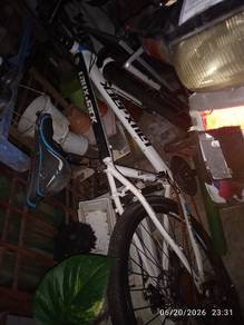 mountain bike