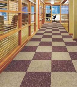 Carpet 080426_15