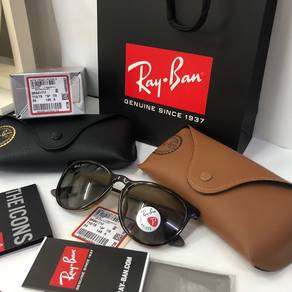 Original Rayban Erika Ray Ban RB4171-F 710/T5