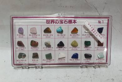 21X Rock Quartz Mineral Collection Display Case Sc