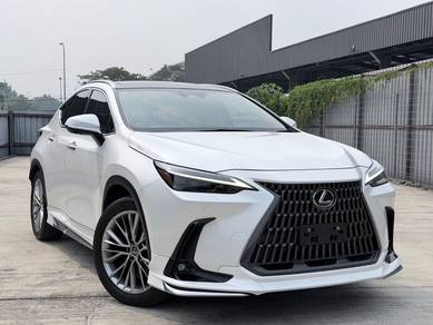 Lexus NX 250 LUXURY in Chan Sow Lin, KUL