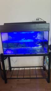 Full Set Aquarium 