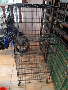 Sangkar kucing jenis 2 tingkat 
