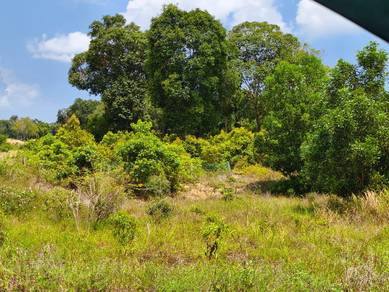 Residential Land in Pekan, PHG