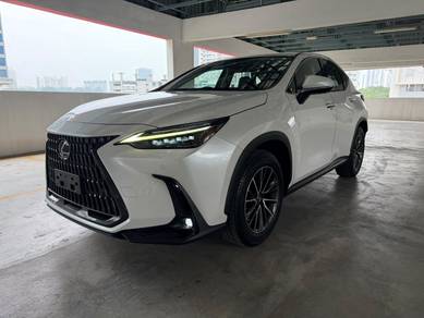 Lexus NX 250 LUXURY in Desa Petaling, KUL