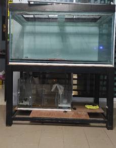 Aquarium 5x3x3 Feet for sale