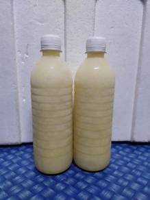 Susu Kambing Asli