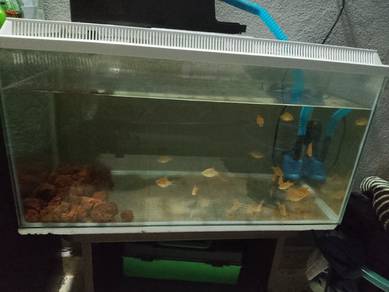Aquarium 2ft