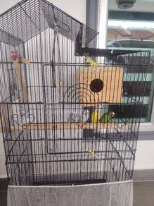4 Birds to let go