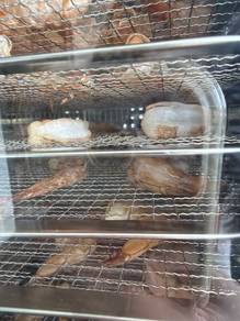[100% homemade] Chikcken Jerky/Fresh Prawn (pets)