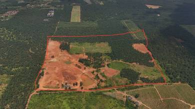 Agricultural Land in Pasir Panjang, NSN