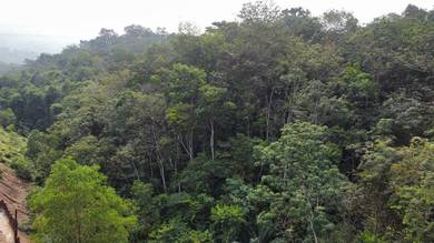 Others Land in Bukit Fraser, PHG