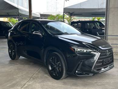 2022 Lexus NX 250 LUXURY